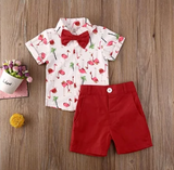 Conjunto flamingos