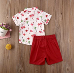 Conjunto flamingos